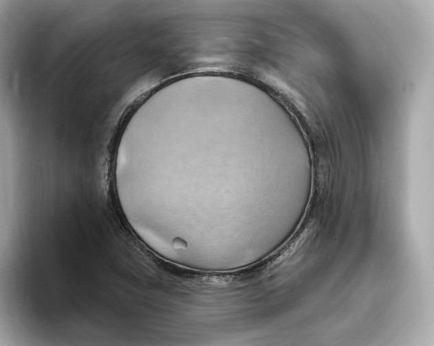 X0000093521411200711021037