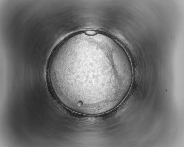 X0000093521412200711021037