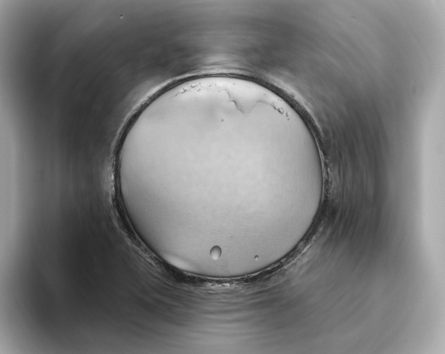 X0000093521415200711021038