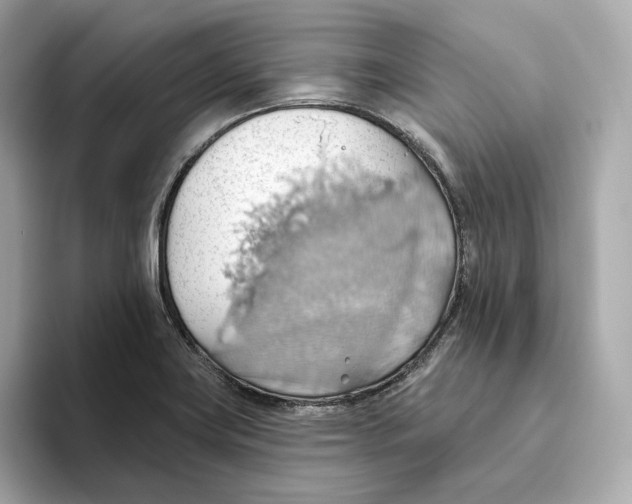 X0000093521419200711021038