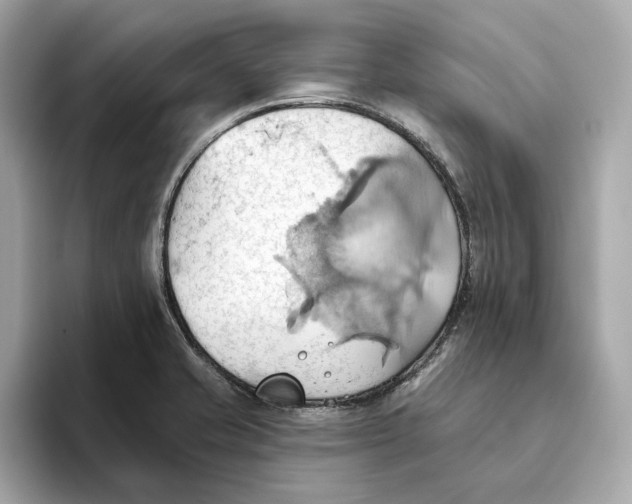 X0000093521421200711021038