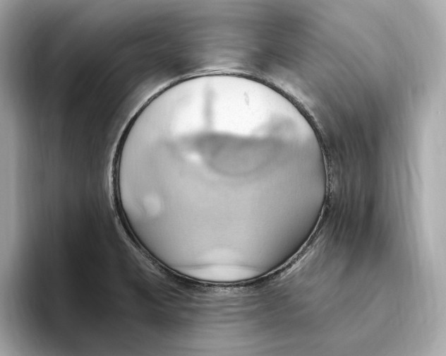 X0000093521423200711021038