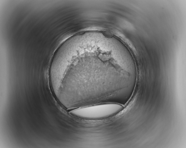 X0000093521425200711021038