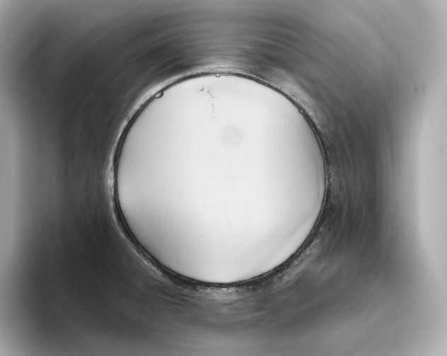 X0000093521428200711021038