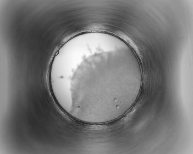 X0000093521429200711021038