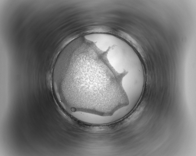 X0000093521433200711021038