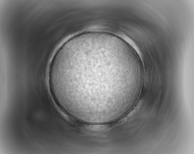 X0000093521437200711021038