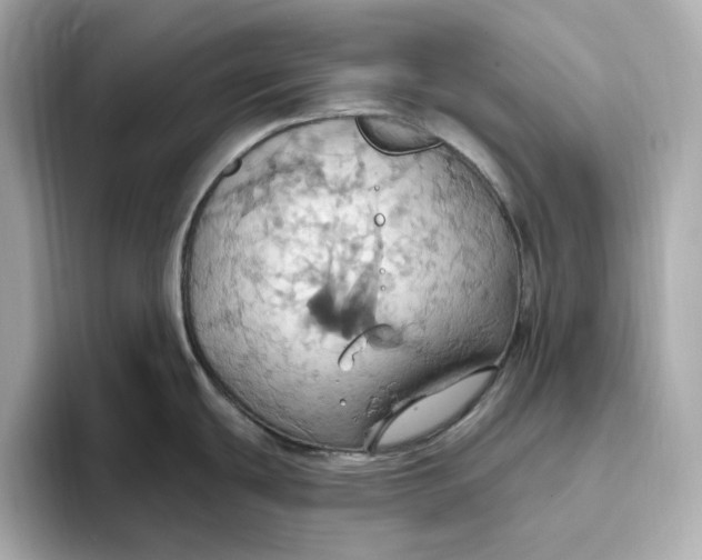 X0000093521439200711021038