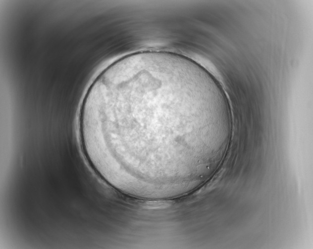 X0000093521440200711021038