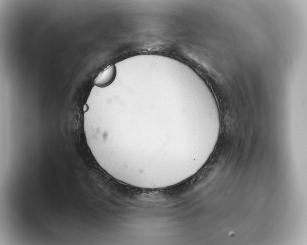 X0000093521447200711021037