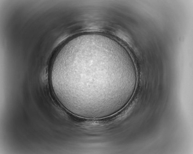 X0000093521450200711021037