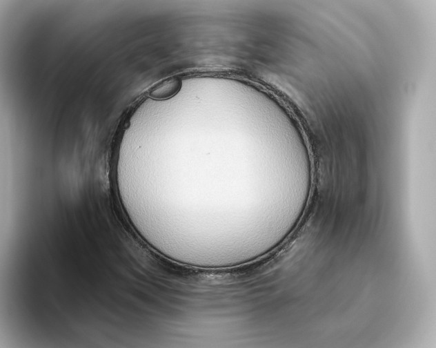 X0000093521451200711021037