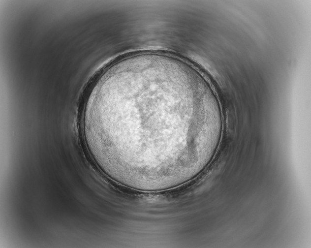 X0000093521452200711021037