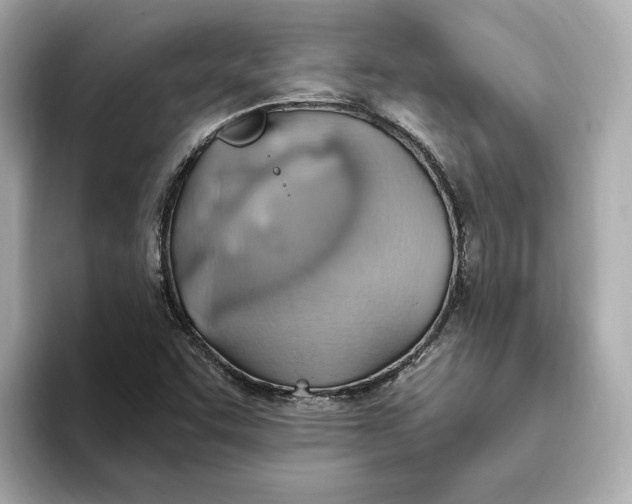 X0000093521455200711021037