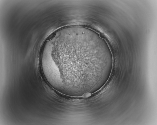 X0000093521459200711021037