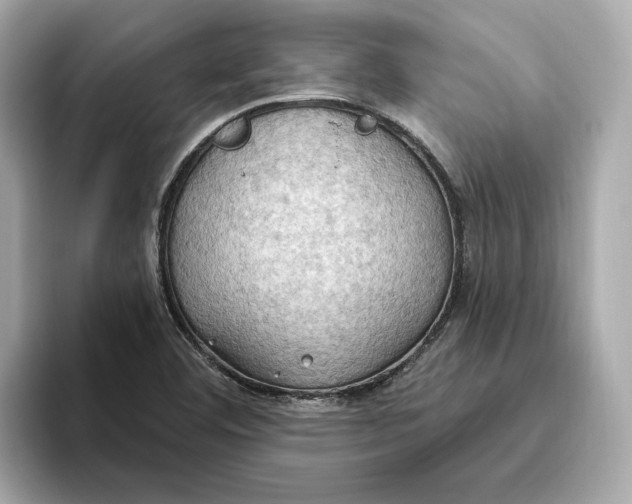 X0000093521460200711021037