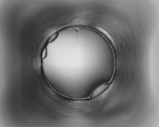 X0000093521461200711021037