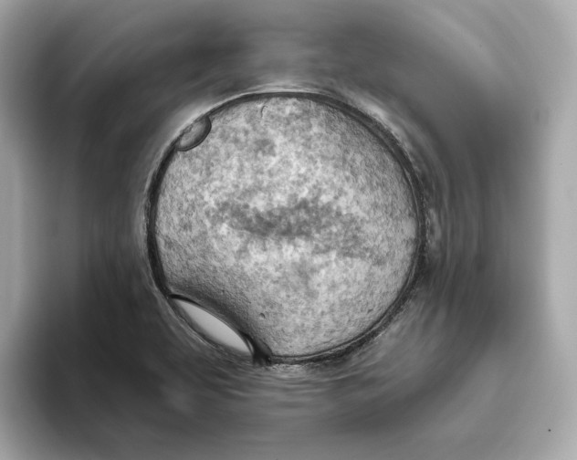 X0000093521463200711021037