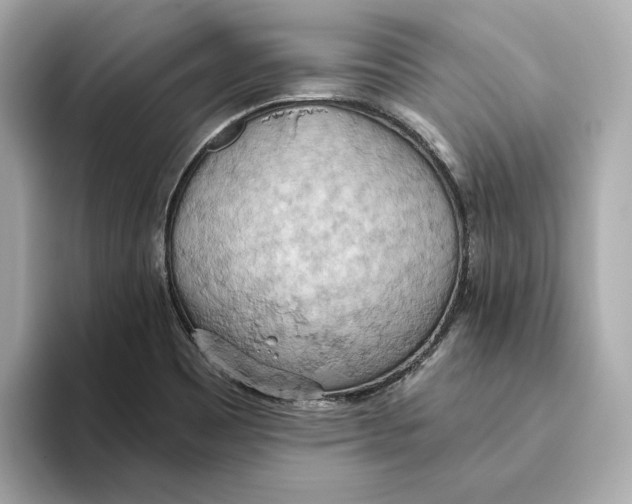 X0000093521465200711021037