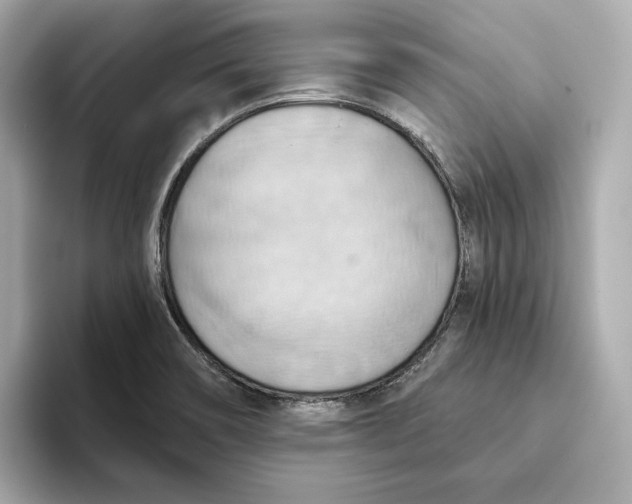 X0000093521466200711021037