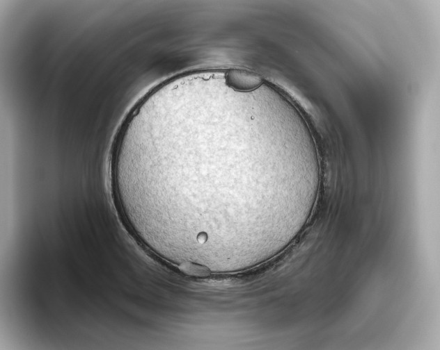 X0000093521468200711021037