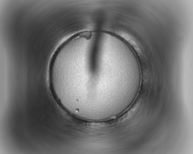 X0000093521469200711021037