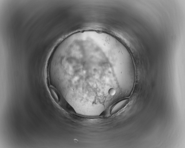 X0000093521471200711021037