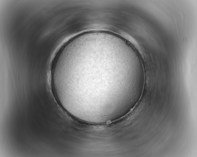 X0000093521472200711021037