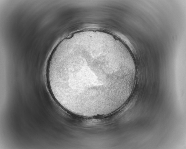 X0000093521475200711021037