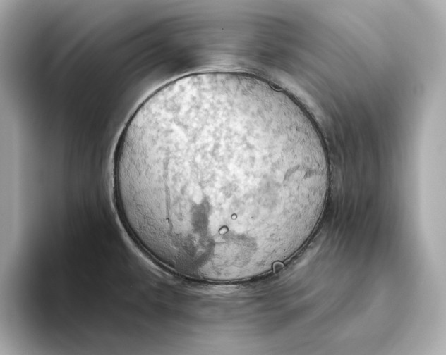 X0000093521479200711021037