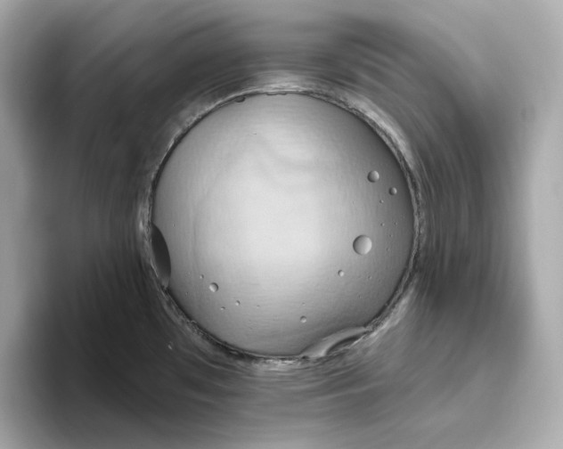 X0000093521481200711021037