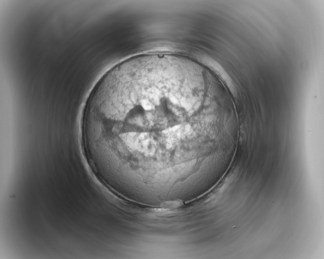 X0000093521483200711021037