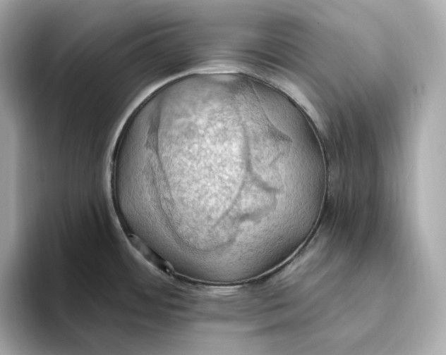 X0000093521484200711021037