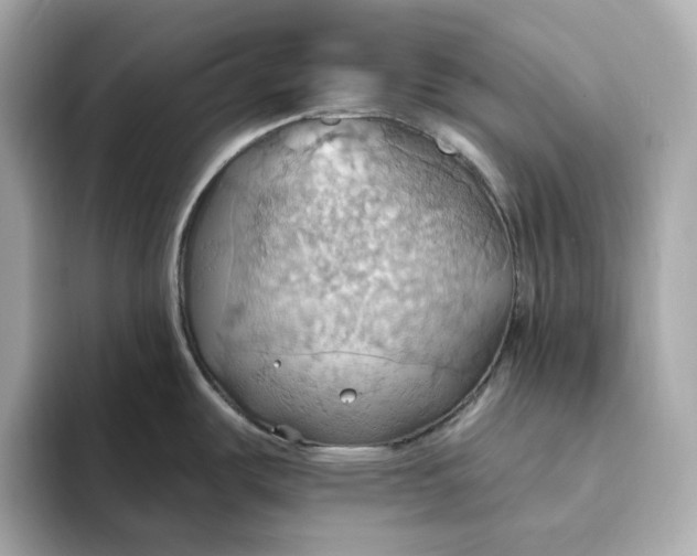 X0000093521487200711021037