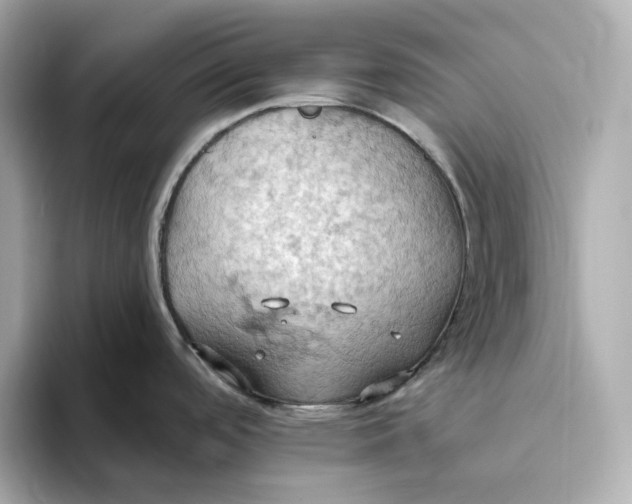 X0000093521488200711021037