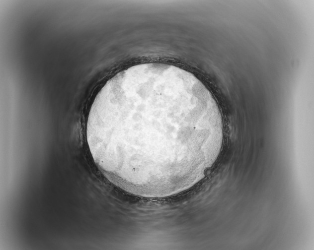 X0000093521493200711021036