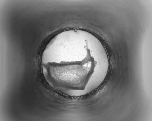 X0000093521494200711021036