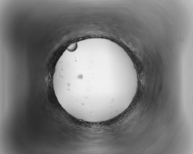 X0000093521495200711021036