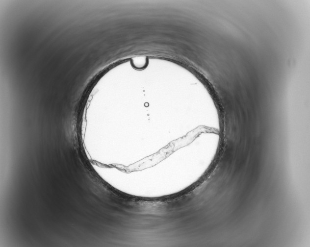 X0000093521498200711021036