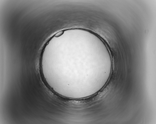 X0000093521500200711021036