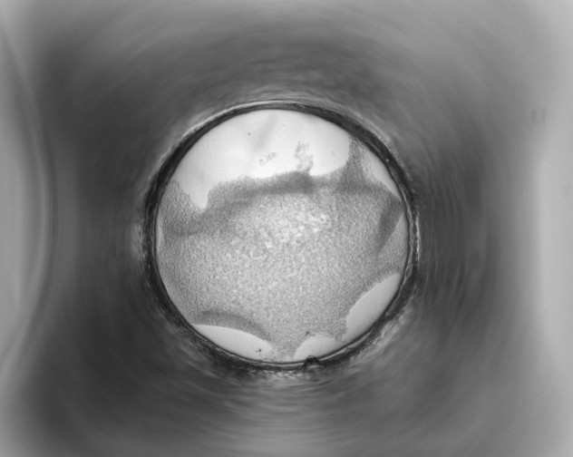 X0000093521501200711021036