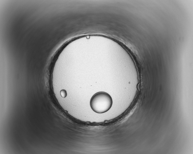 X0000093521502200711021036