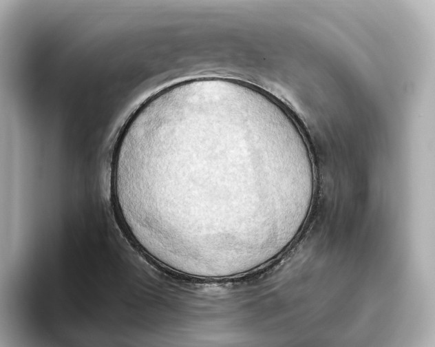 X0000093521504200711021036