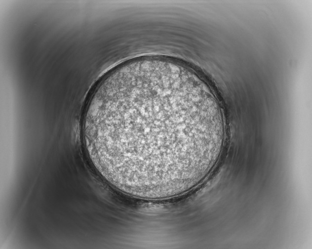 X0000093521505200711021036