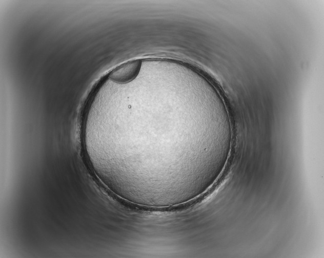 X0000093521506200711021036