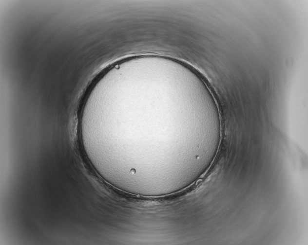 X0000093521507200711021036