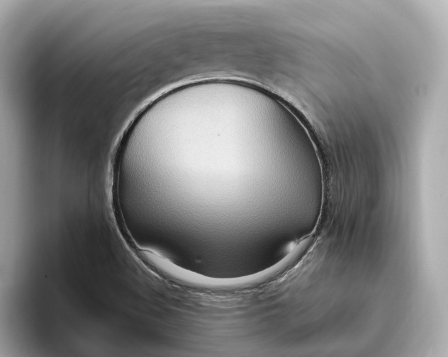 X0000093521508200711021036