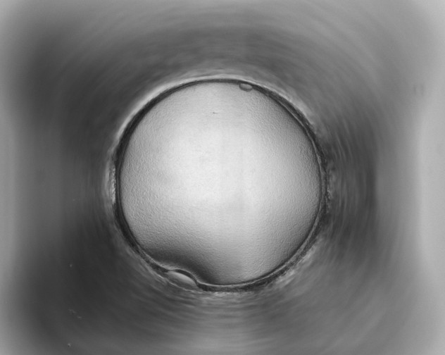 X0000093521510200711021036