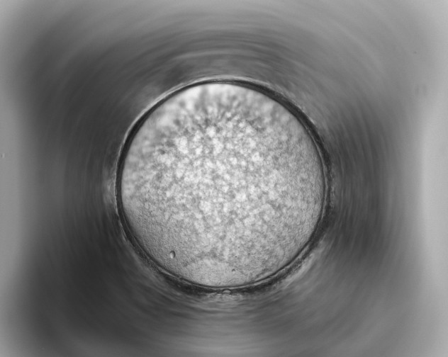 X0000093521513200711021036