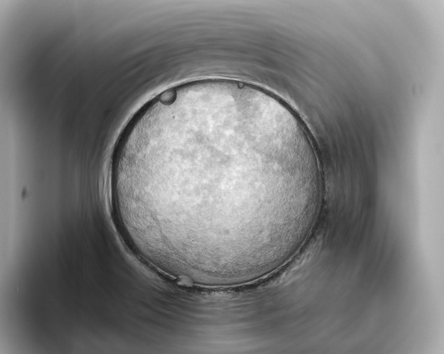 X0000093521515200711021036